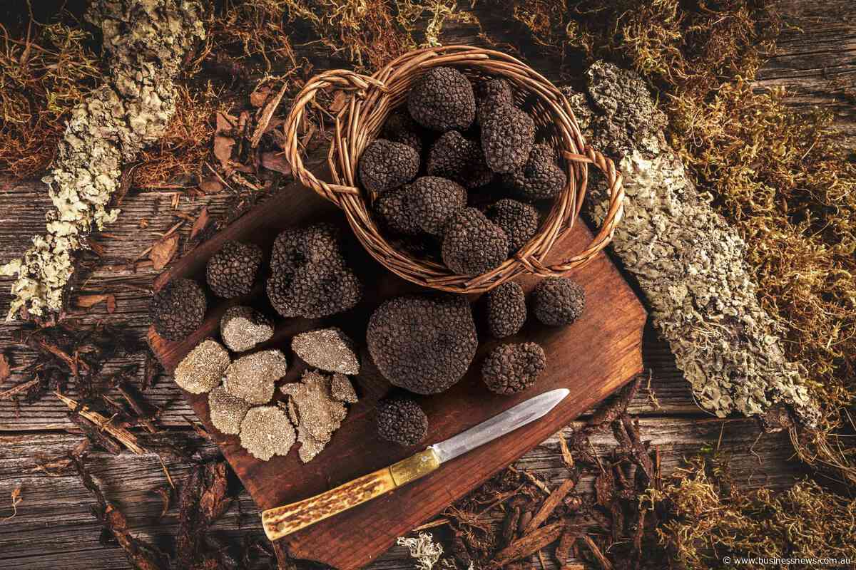 Opinion: The ingredient always comes first