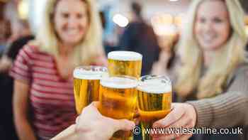 It's time to ban early morning drinking at airports as Brits can't behave