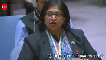 ‘Membership must not be used to legitimise terrorists’: India seeks transparency in UNSC