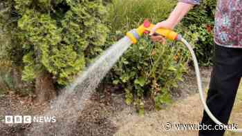 Thames Water grateful as use falls after hosepipe ban
