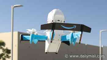 Amazon plans to roll out drone delivery to FIVE HUNDRED American cities by end of this year