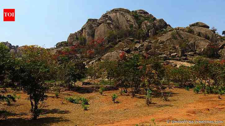 Oldest evidence of life on Earth has been discovered in India in a 3.4 billion-year-old layered rock shows signs of microbial life