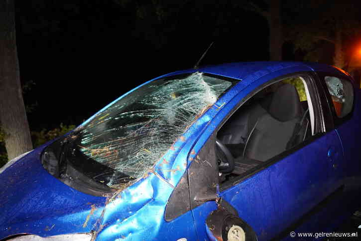 Automobilist verliest macht over stuur en belandt in greppel