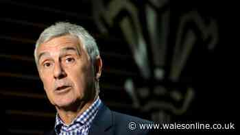 Former WRU boss backed for return and Springboks reach agreement with New Zealand
