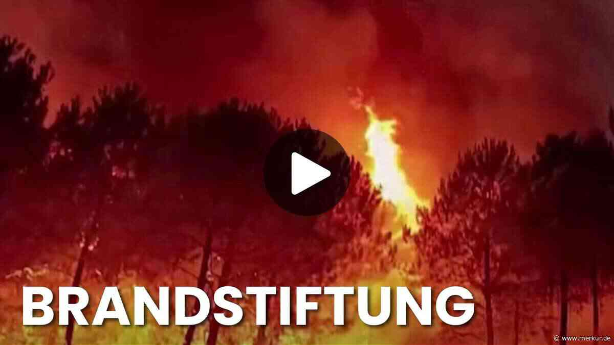 Neuer Großbrand vernichtete bereits über 2000 Hektar Wald: Einsatzkräfte vor Ort