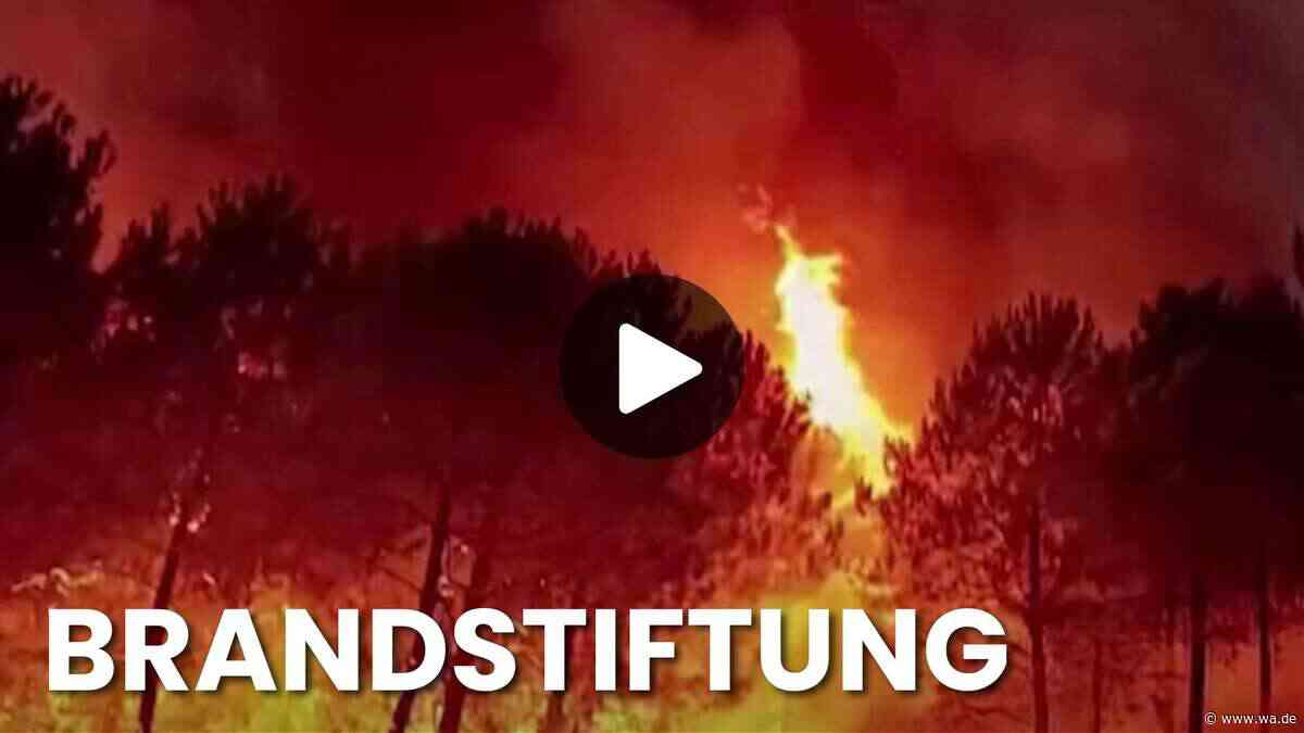 Neuer Großbrand vernichtete bereits über 2000 Hektar Wald: Einsatzkräfte vor Ort