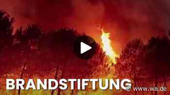 Neuer Großbrand vernichtete bereits über 2000 Hektar Wald: Einsatzkräfte vor Ort
