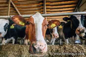 Movement restrictions imposed after BSE case in Dumfries and Galloway