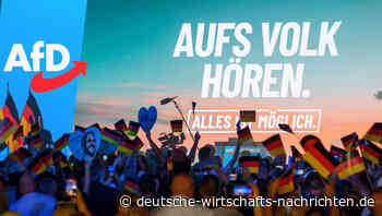 AfD-Regierung im Osten? Mehrheit der Deutschen lehnt sie ab