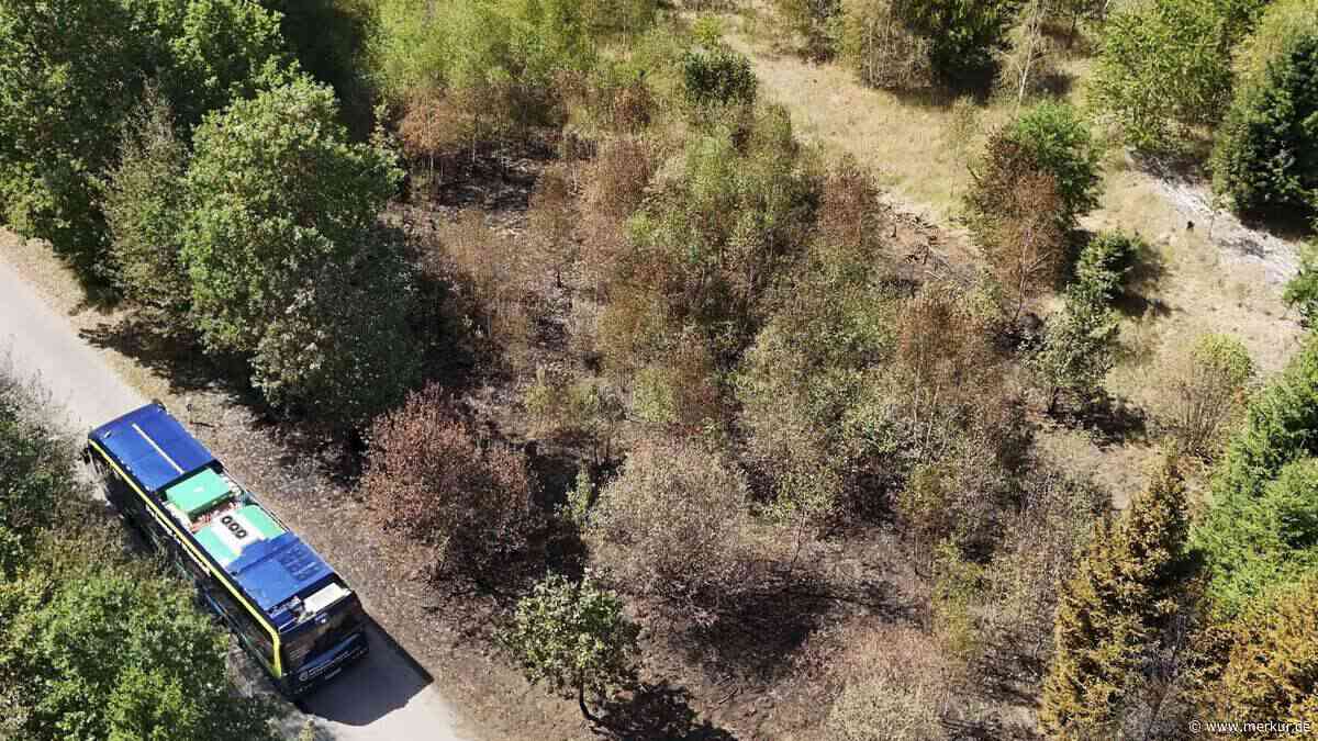 „Die meisten Feuer verursachen Menschen“ – Förster über trockene Fichtenwälder