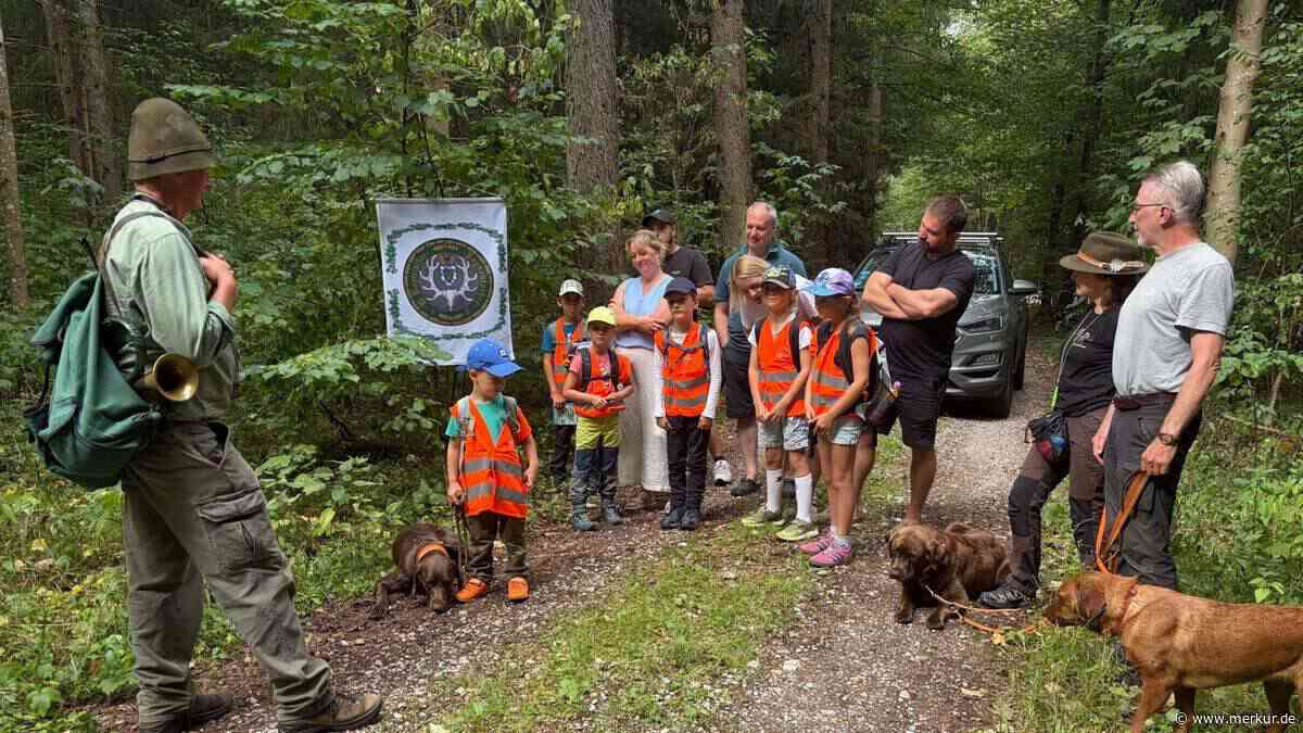 Kinder klettern auf Hochstand und entdecken Wildschwein in der Suhle