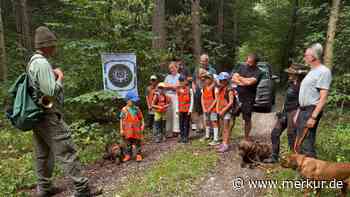 Kinder klettern auf Hochstand und entdecken Wildschwein in der Suhle