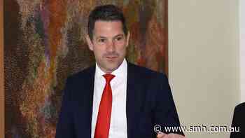 Rogue Liberal senator Antic’s forces plot to purge high-profile party members