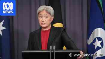 Wong declares 'difficult time' in relations with Israel after Frankcom findings