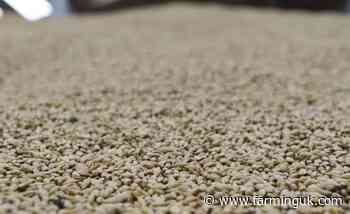 Frontier completes takeover of Aberdeen Grain site