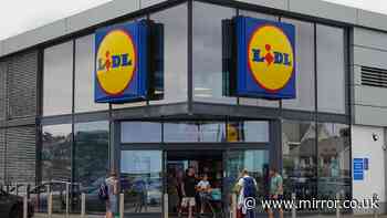 New Lidl £15 item similar to £200 John Lewis and Selfridges versions out Sunday