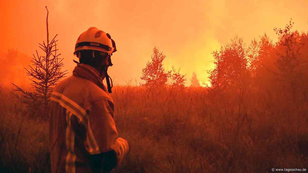 Studie warnt vor deutlich mehr Waldbränden in Europa