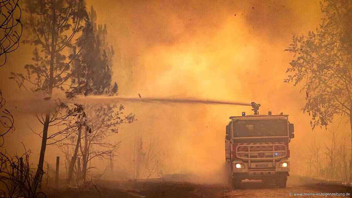 Klimawandel könnte Waldbrandfläche in Europa verdreifachen