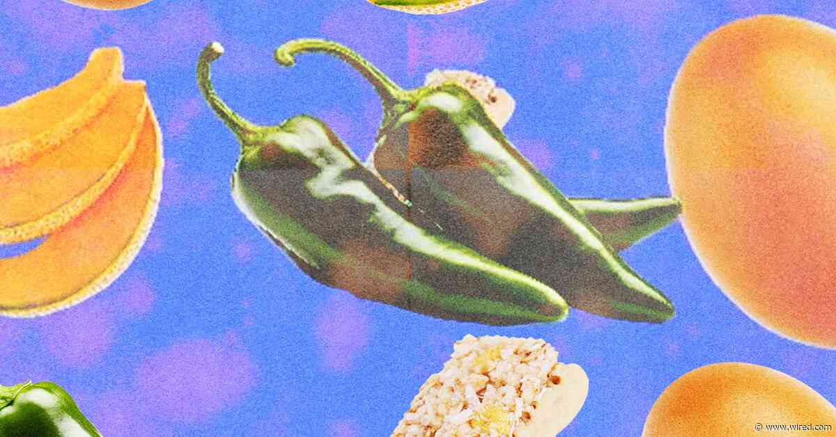 Salmonella Is Everywhere