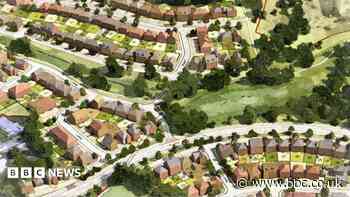 Housing estate could be built in 'beautiful' valley