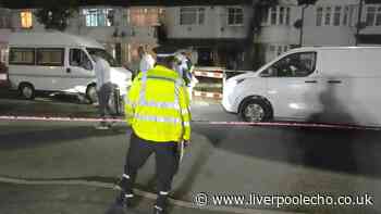 Murder investigation launched as woman dies and eight injured in Hounslow house fire