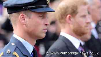 Prince Harry's most explosive royal claims - William 'stank' at wedding and brothers' brawl