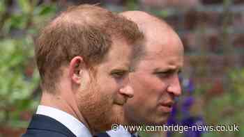 Prince William 'knocked Harry into dog bowl' after 10 striking words