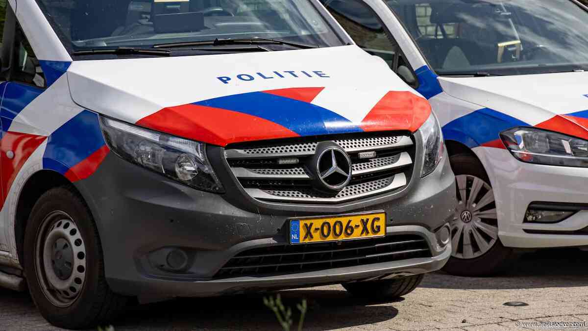 Man (53) opgepakt voor zeer ernstig zedendelict in zomer van 1993