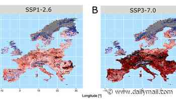 Think this is bad? Study warns the area affected by wildfires in Europe will TRIPLE by 2100