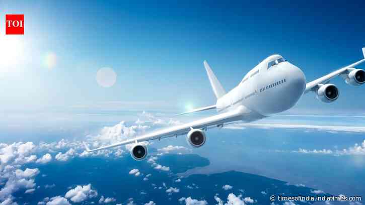 Reasons Planes Are Painted White: Engineering, branding explain the choice; fuel myth debunked