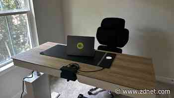 These 2 WFH items are a splurge - but I'd highly recommend them