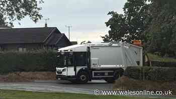 Missed bin collections across Flintshire blamed on resource issues