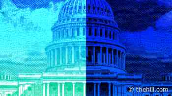 Young Democrats eye Congress with affordability at the top of their agenda