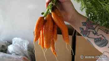 Manitoba's only food hub connects farmers with wholesale buyers
