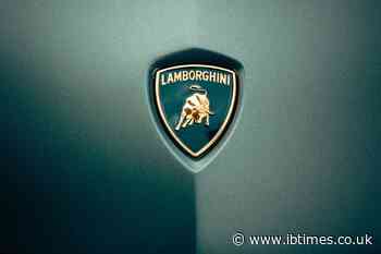 Content Creator Accused of Animal Abuse After Striking Cat That Sought Shelter From Rain on His Lamborghini