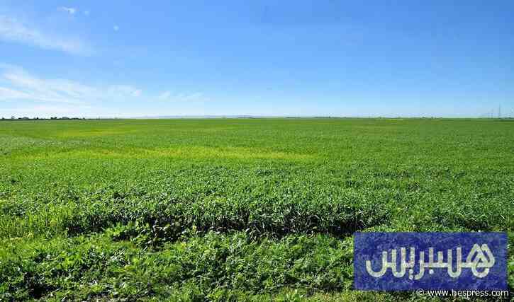 التلاعب بأراض عارية يستنفر السلطة