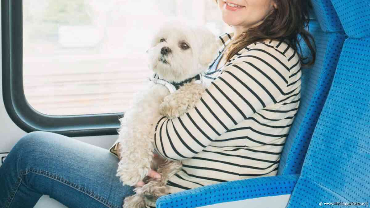 “Per un problema del sistema non si poteva acquistare online il biglietto per portare il cane in treno, nessuno sapeva aiutarmi. Ora mi è arrivata una multa da oltre 300 euro”: la denuncia di Eleonora Berretti