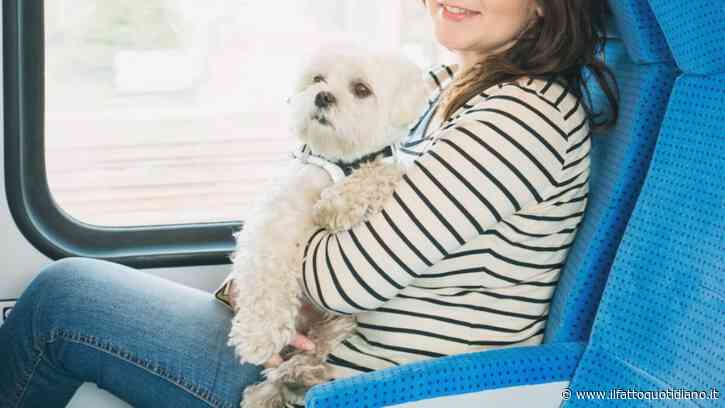 “Per un problema del sistema non si poteva acquistare online il biglietto per portare il cane in treno, nessuno sapeva aiutarmi. Ora mi è arrivata una multa da oltre 300 euro”: la denuncia di Eleonora Berretti