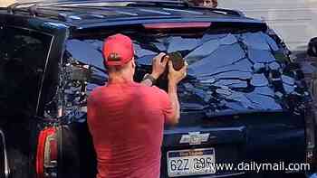 Moment US family smash SUV window to free a BEAR that locked itself inside their car