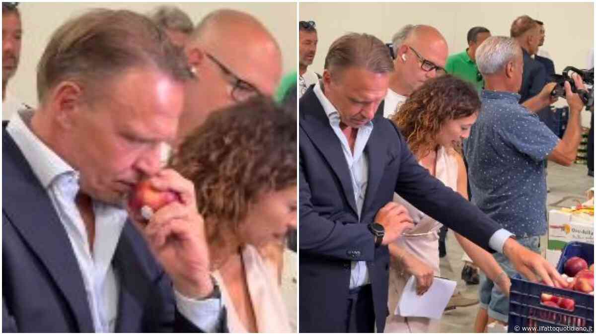 Prende un frutto a mani nude, lo annusa e lo rimette nella cassetta: la scenetta del ministro Lollobrigida