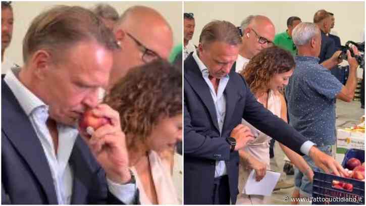 Prende un frutto a mani nude, lo annusa e lo rimette nella cassetta: la scenetta del ministro Lollobrigida