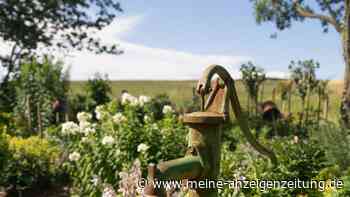 Brunnenbau im Garten: Diese Regeln gelten für Eigentümer