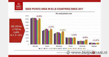 Europees pootaardappelareaal daalt met 1,6 procent