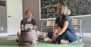 Capybara Cafe in Helen turns animal encounters into conservation lessons