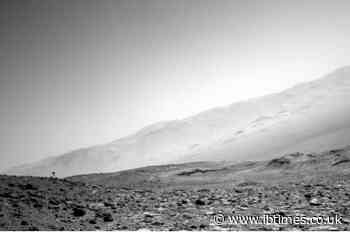 NASA's Curiosity Rover Ignites Alien Rumours After Capturing an Unexplained 'Tripod-Like Object'