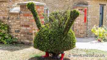 Peppa Pig bush 'beheaded' by heartless vandals sparking police appeal