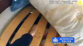 Moment woman wanted for attempted murder is found hiding under bed