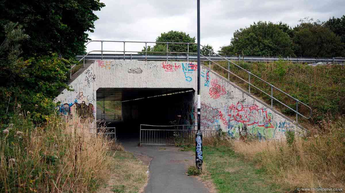 Fury over 'unsafe' Newcastle underpass where woman was sexually assaulted in broad daylight