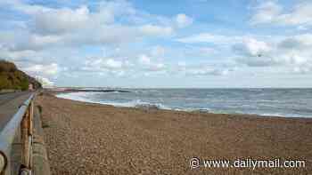 One of Britain's 'best places to live' is home to some of the country's 'dirtiest' beaches with bacteria levels THREE times higher than average
