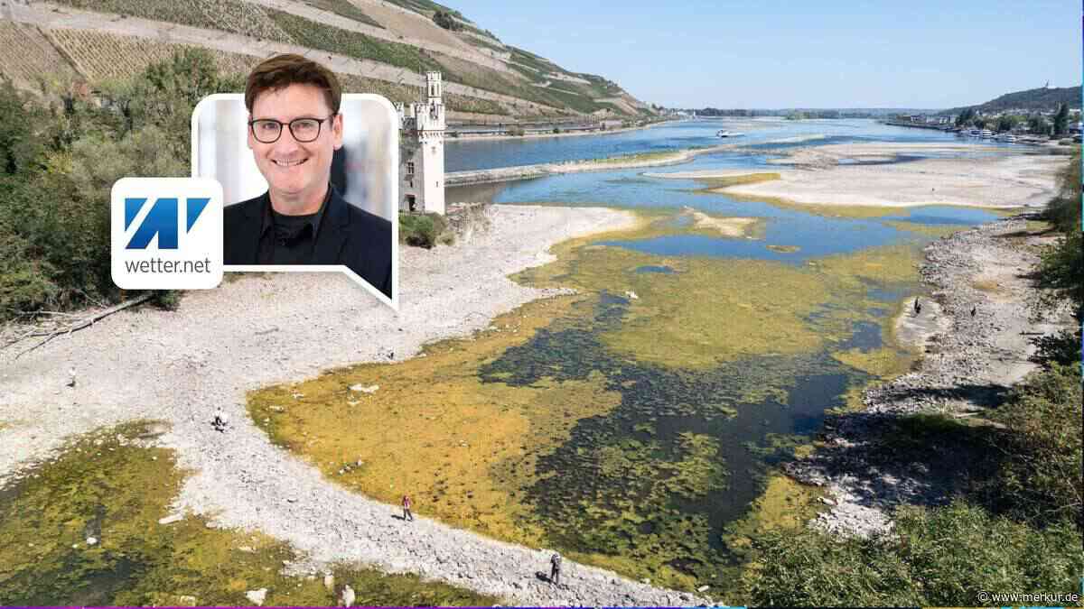 Dürre wird immer prekärer – Rhein-Pegel schrumpft weiter